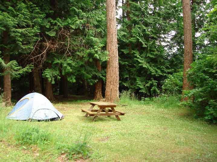 Hornby Island Ford's Cove Marina Cottages & Camping